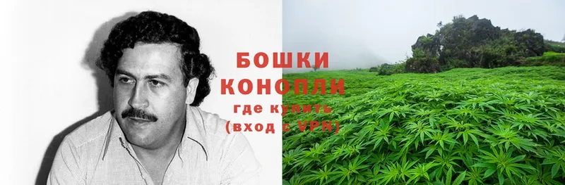 купить наркотик  Белозерск  Конопля OG Kush 